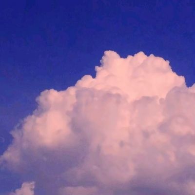 诛仙一号玩家客户端下载